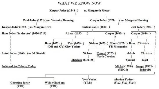 the wisconsin yoders mennonite vs amish chart